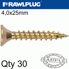 RAWLPLUG R-Ts Hardened Screw 4.0X25Mm X30 Per Bag