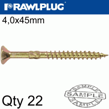RAWLPLUG R-Ts Hardened Screw 4.0X45Mm X22 Per Bag